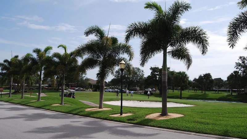 008 - A road in Vista Plantation is lined with palm trees, green grass, and a clear sky. It is adjacent to the golf course, where golfers are near a sand trap, and parked cars are in th