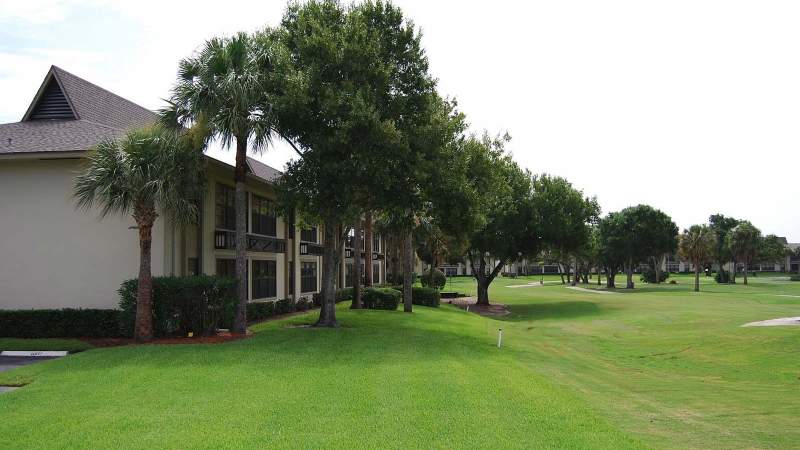 028 - A row of trees and a manicured lawn beside a golf course, with a Vista Plantation multi-story residential building in the foreground_